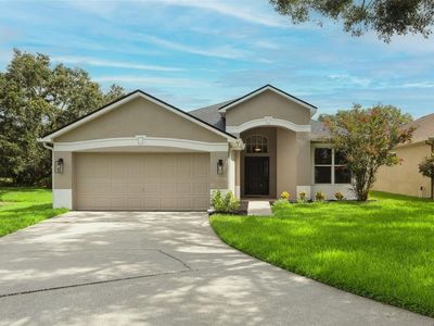 4735 Dunnie Dr, Tampa, FL, 33614