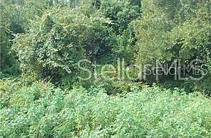 1st image of 448 Rainbow Ct #1