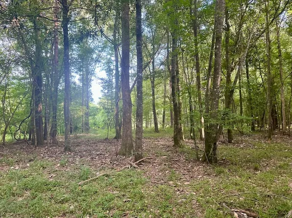 0 Airport Rd, Luverne, AL 36049