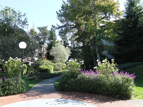 2nd image of 6110 Shelter Creek Ln