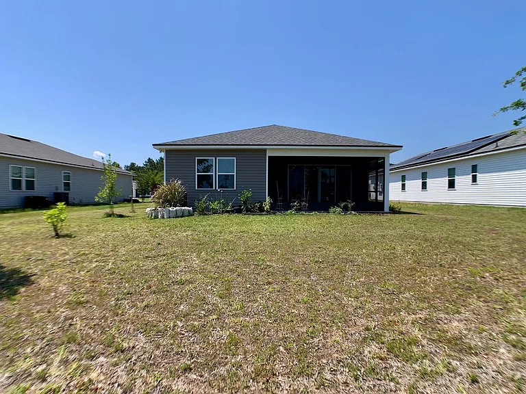 1499 Tropical Pine Cv — Photo 45