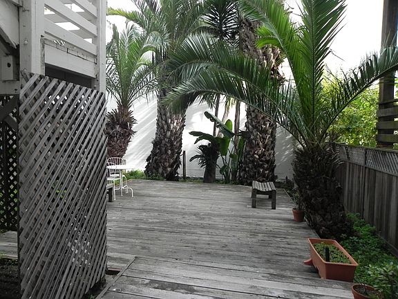 5th image of 31 1/2 Collingwood St