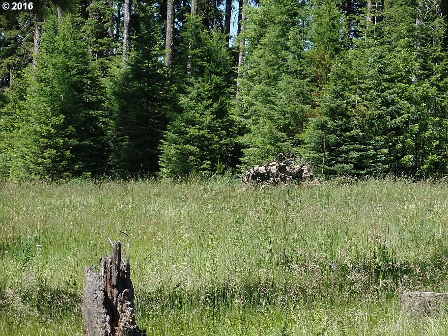 2nd image of 58995 Highway 204