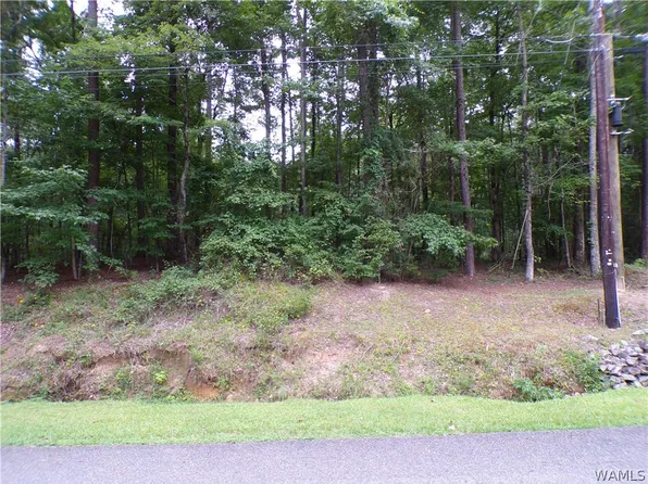 0 Berry Cir, Fayette, AL 35555