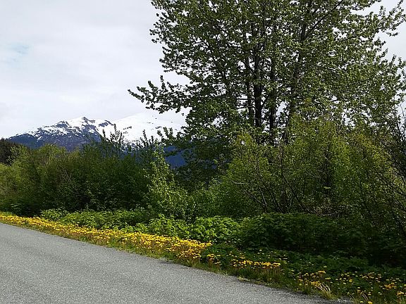 3rd image of .5 Mile Frnt Street