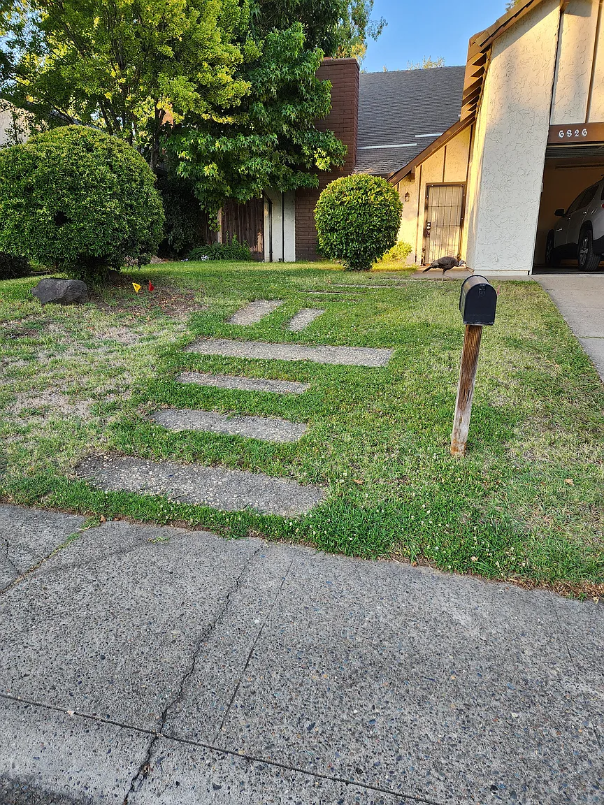 6826 Red Maple Way photo 1