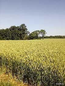 2nd image of 0 Pin Oak Church Rd