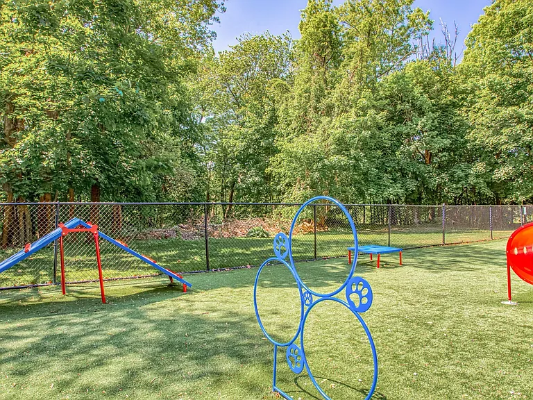 An abundance of agility equipment for your fluffy friends