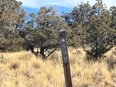 SW Hat Rock Loop #598, Powell Butte, OR, 97753