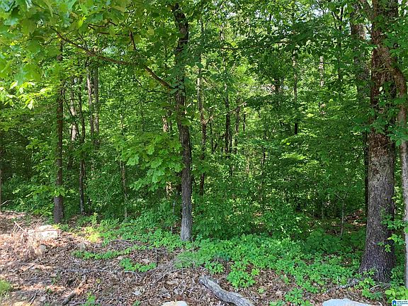 3rd image of 6246 Red Hollow Rd