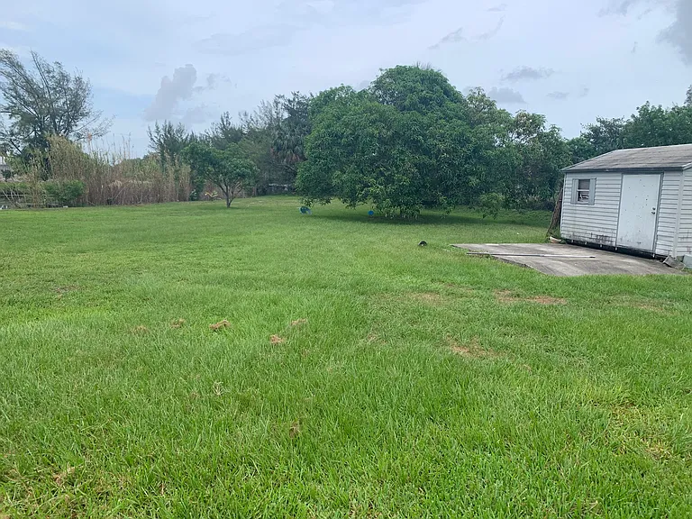 Back yard with 5 fruit trees