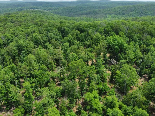000 Trail Nine Road, Van Buren, MO 63965