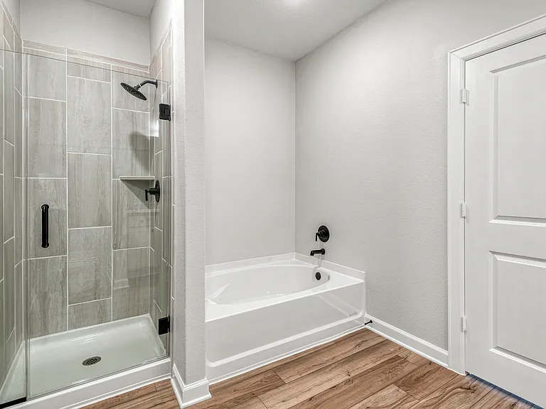 Step-in shower and seprate tub in the master bathroom