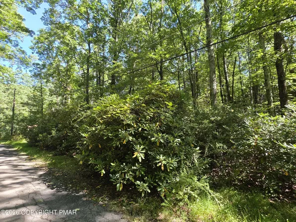 Cameron Rd #285, Effort, PA 18330