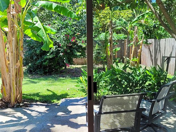 Back yard view from the dining room