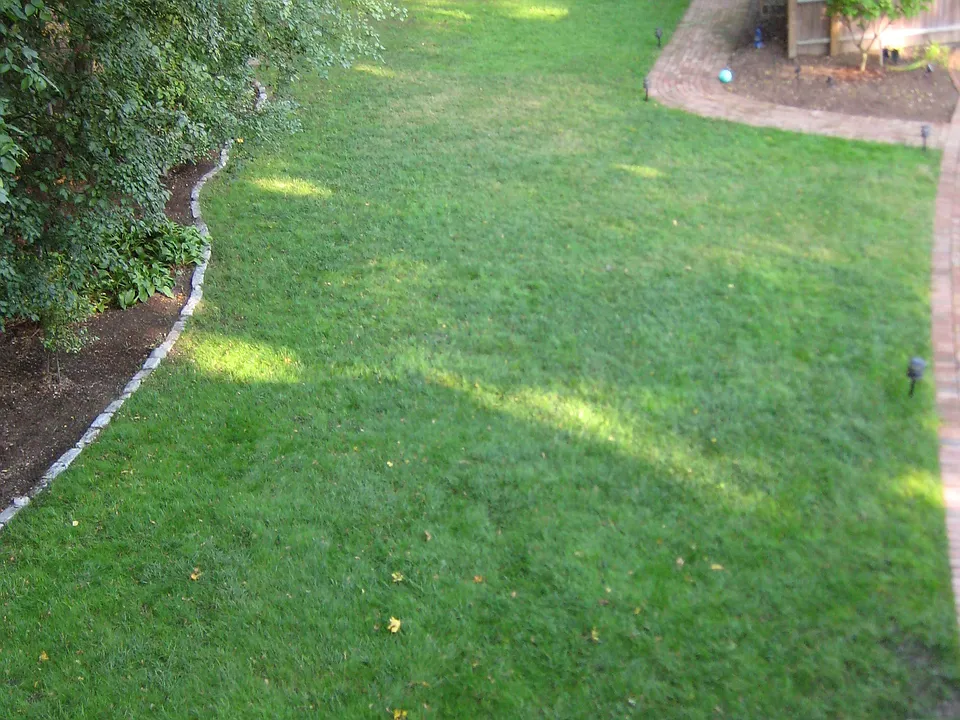 Spacious Back Yard