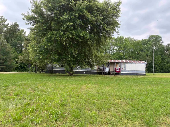 2667 Dr Lewis Rd, Ripley, TN 38063