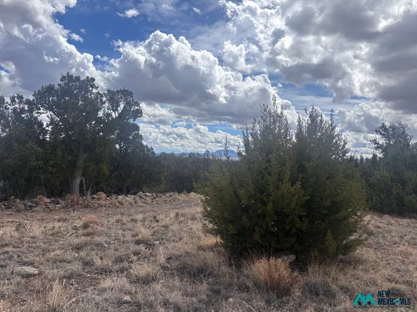 LOT 43 Abbe Spgs #43, Magdalena, NM 87825