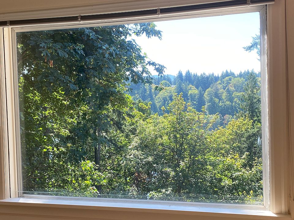 View from front window