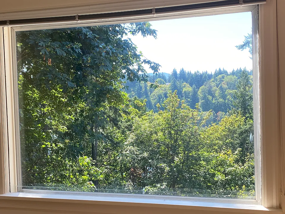 View from front window