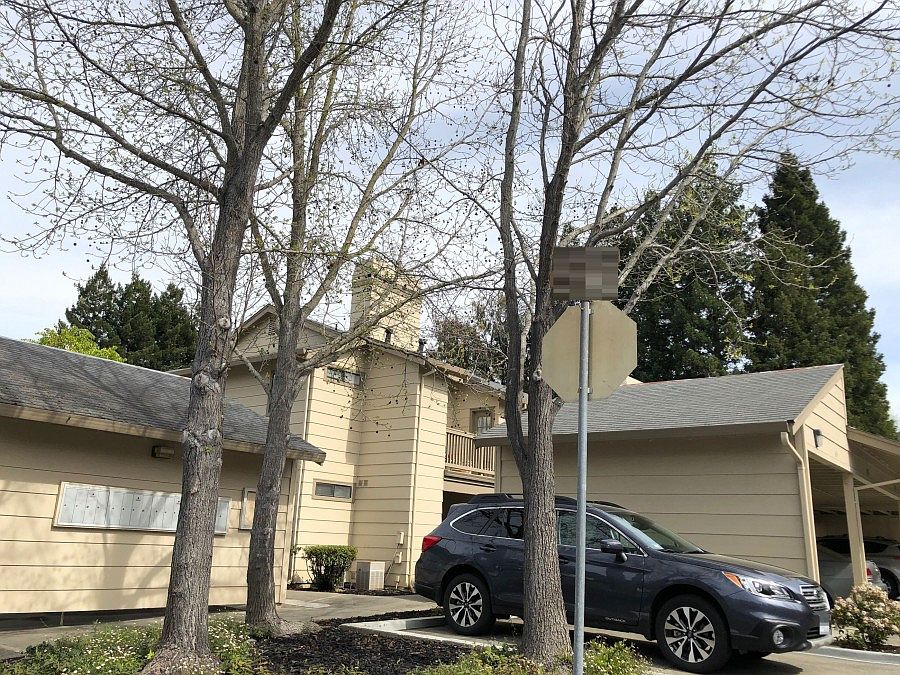 2nd image of 702 Windsor