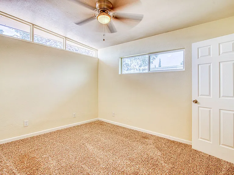 8818 Mount Elbert Dr — Photo 29
