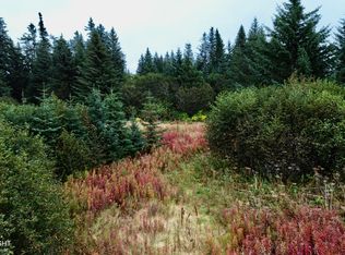 26940 Sterling Hwy, Anchor Point, AK 99556