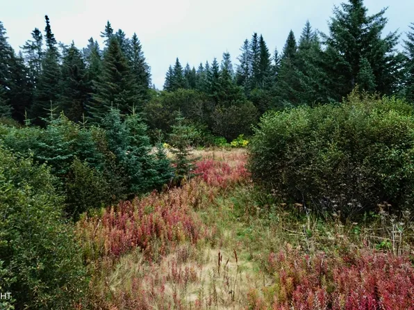 26940 Sterling Hwy, Anchor Point, AK 99556