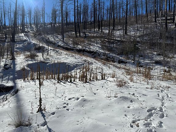 5th image of 28 La Vista Acres