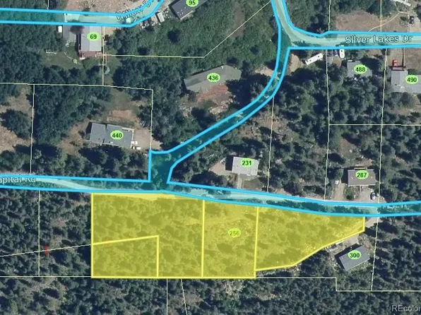 256 Capital Road, Dumont, CO 80436
