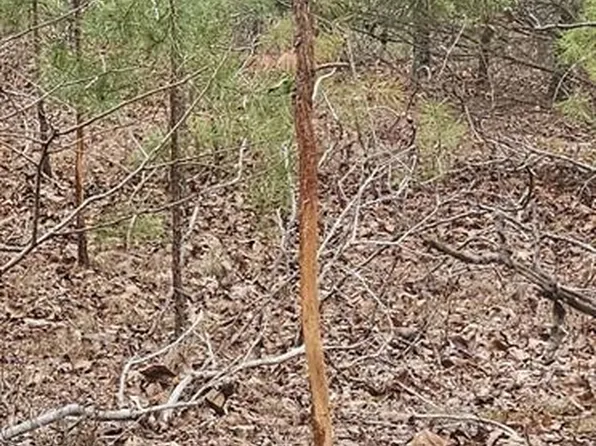 0 County Road 924, Bunker, MO 63629