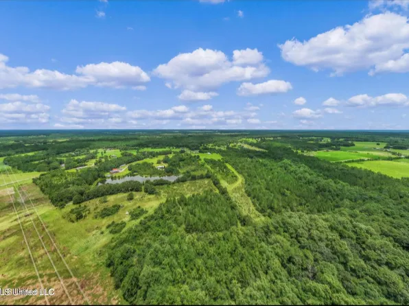 14/ACRE S Wendell Ladner Rd, Perkinston, MS 39573