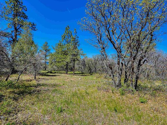4th image of 3367 Ranchland Drive