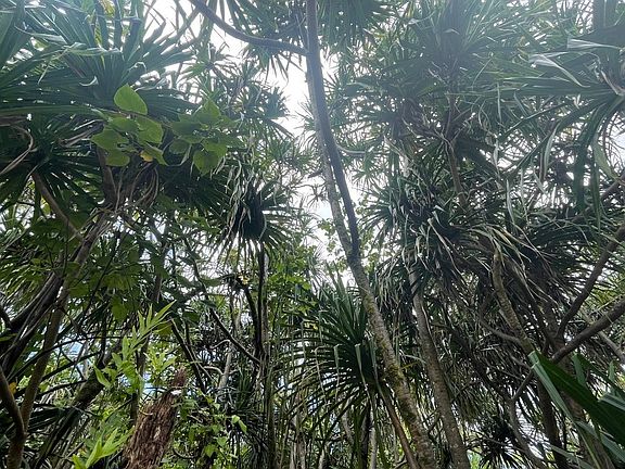 3rd image of E Pohakupele Loop Lot 149