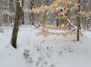 LOT Pine Wood Dr #C, Brantingham, NY 13312