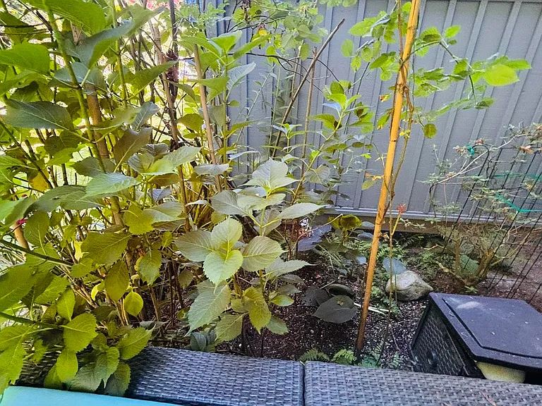 3634 Garibaldi Dr #26 — Photo 38