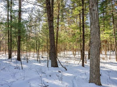 3.2 acres County Road C #1, New Lisbon, WI, 53950