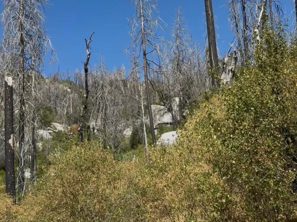 36980 Peterson Road, Auberry, CA 93602
