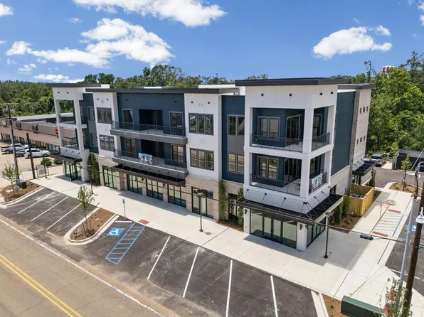 1009 N Lamar Blvd Unit 203, Oxford, MS 38655