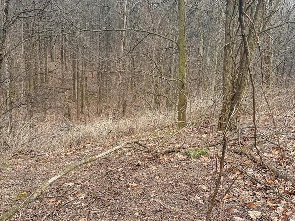 LOT Carlisle Rd, Dover, PA 17315