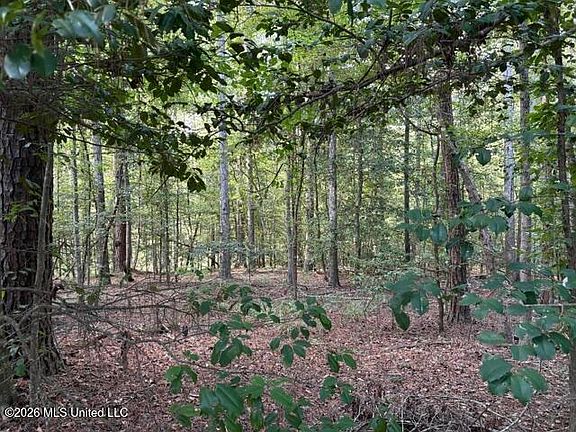 2nd image of Smith County Rd #581