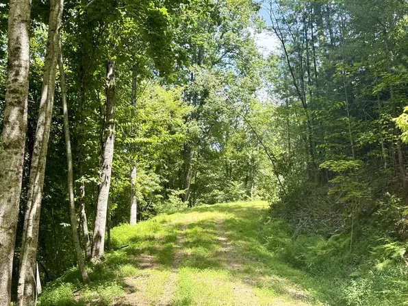 8 Wild Laurel, Brasstown, NC 28902