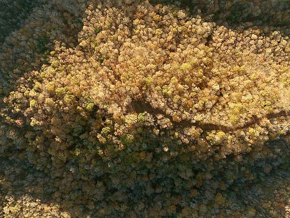 2nd image of 0 Rock Springs Rd Tract 13