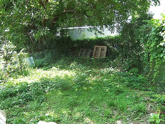 4th image of 61 E Wister St