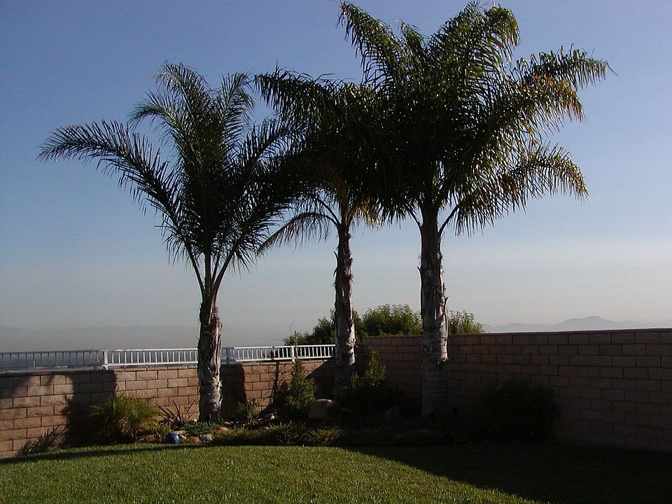 2nd image of 3031 Juniper Dr