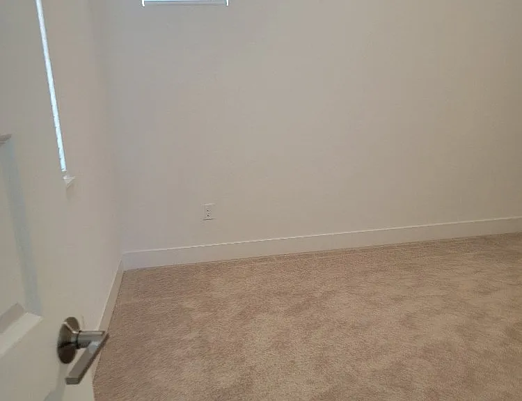 3035 Salt Wash Way — Photo 44