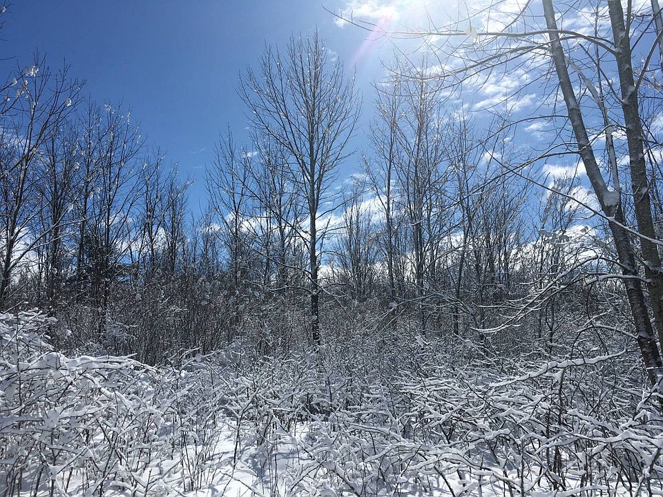 0 Trout Lake Rd B, Hermon, NY 13652 Zillow