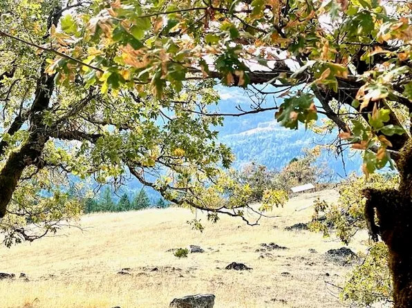 40/ACRE S Burr Valley Rd, Bridgeville, CA 95526