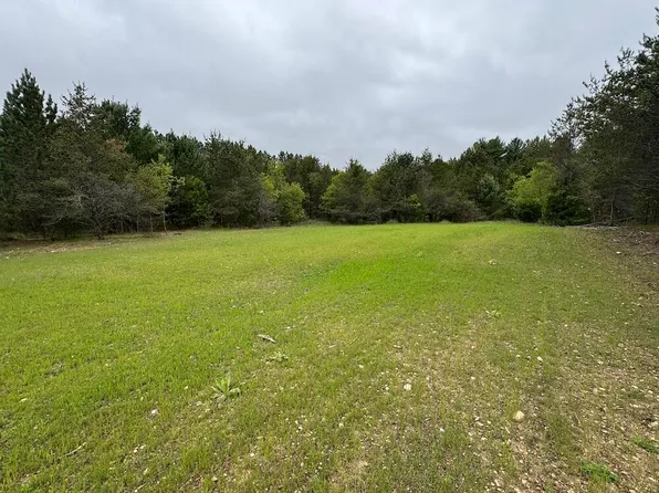 W Forest Rd, Manton, MI 49651