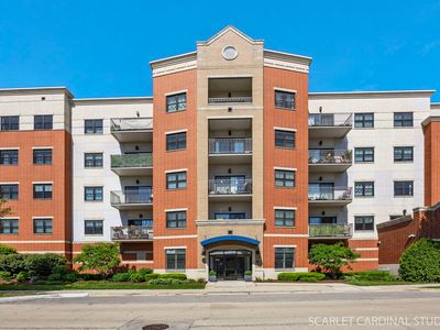 14 S Prospect St APT 211, Roselle, IL, 60172